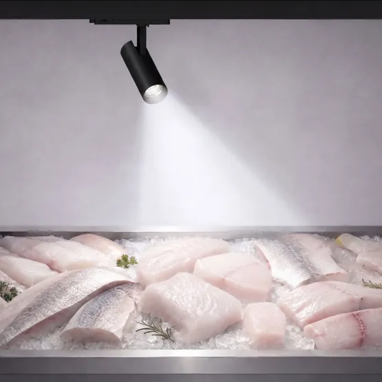 Фото #2 товара Светильник LGD-GERA-4TR-R74-20W Cool SP7500-Fish (Черный, 15 deg, 230V) (Arlight, IP20 Металл, 5 лет)