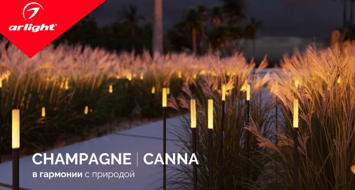 CHAMPAGNE/CANNA — природа света.